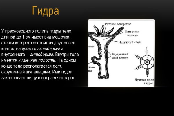 Ссылка омг telegraph