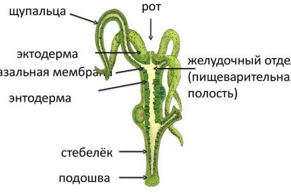 Ссылка омг сайт