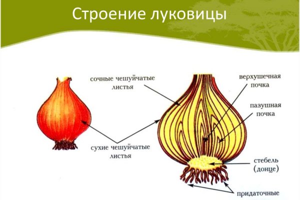 Омг тор зайти через комп